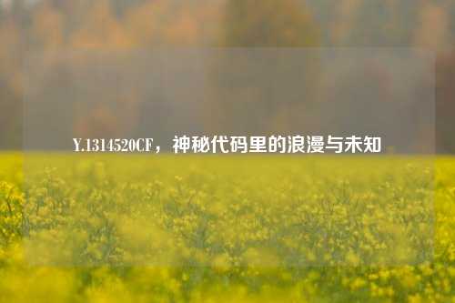 Y.1314520CF,神秘代码里的浪漫与未知