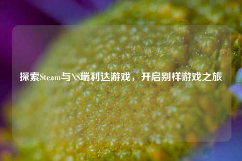 探索Steam与NS瑞利达游戏,开启别样游戏之旅