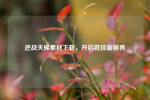 逆战天梯素材下载,开启竞技新视界