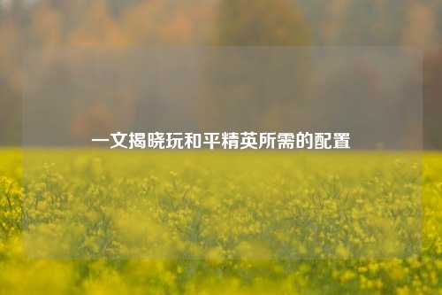 一文揭晓玩和平精英所需的配置