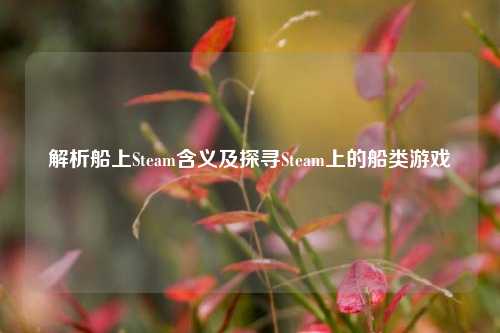 解析船上Steam含义及探寻Steam上的船类游戏