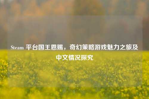 Steam 平台国王恩赐，奇幻策略游戏魅力之旅及中文情况探究