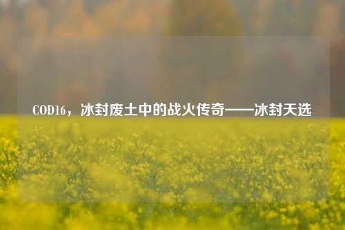 COD16,冰封废土中的战火传奇——冰封天选