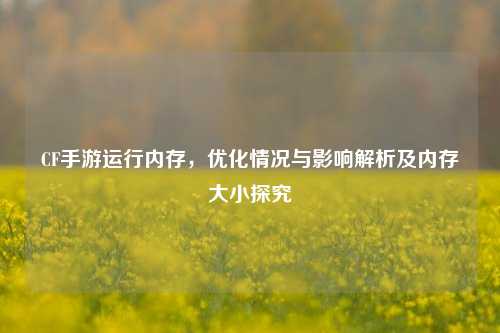 CF手游运行内存,优化情况与影响解析及内存大小探究