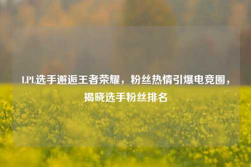 LPL选手邂逅王者荣耀，粉丝热情引爆电竞圈，揭晓选手粉丝排名