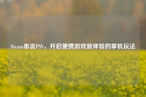 Steam串流PSV,开启便携游戏新体验的掌机玩法