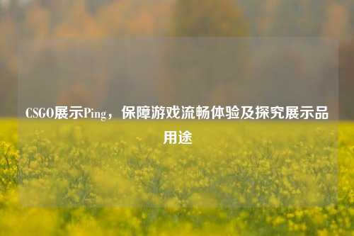 CSGO展示Ping,保障游戏流畅体验及探究展示品用途