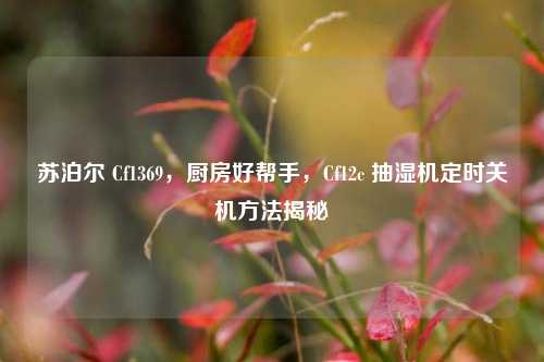 苏泊尔 Cf1369,厨房好帮手,Cf12c 抽湿机定时关机方法揭秘
