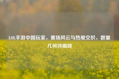 LOL手游中国玩家,赛场风云与热爱交织,数量几何待揭晓