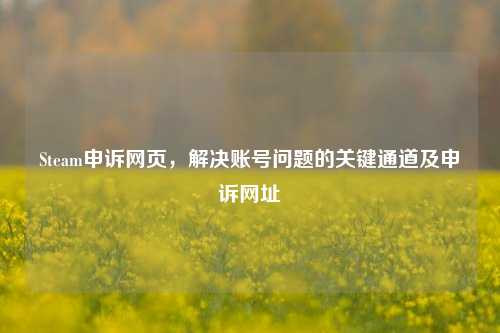 Steam申诉网页,解决账号问题的关键通道及申诉网址