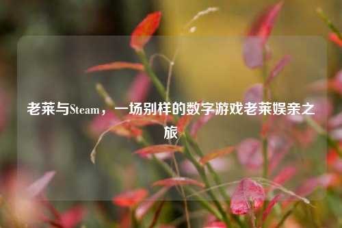 老莱与Steam，一场别样的数字游戏老莱娱亲之旅