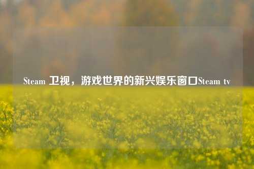 Steam 卫视，游戏世界的新兴娱乐窗口Steam tv