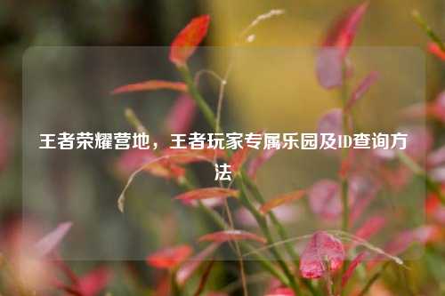 王者荣耀营地,王者玩家专属乐园及ID查询方法