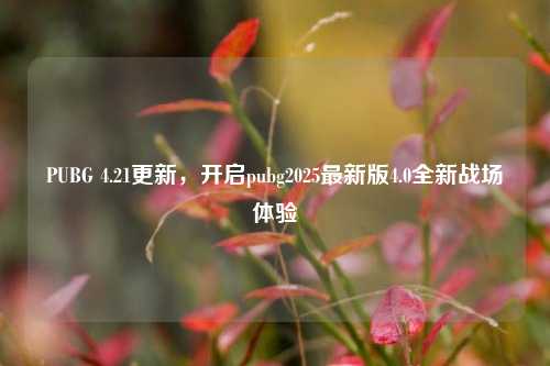 PUBG 4.21更新,开启pubg2025最新版4.0全新战场体验