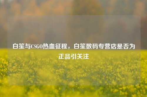 白笙与CSGO热血征程,白笙数码专营店是否为正品引关注
