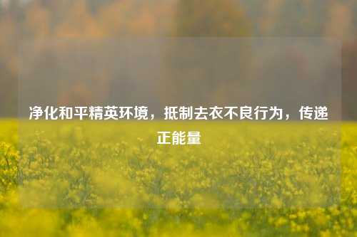净化和平精英环境,抵制去衣不良行为,传递正能量