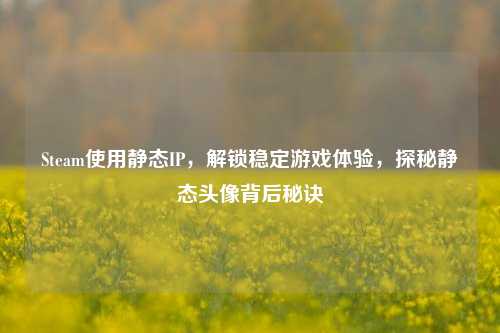 Steam使用静态IP，解锁稳定游戏体验，探秘静态头像背后秘诀