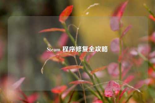 Steam 程序修复全攻略