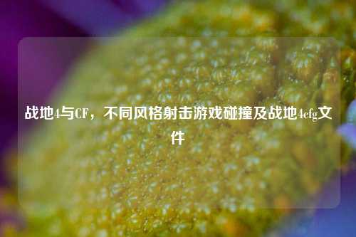 战地4与CF,不同风格射击游戏碰撞及战地4cfg文件