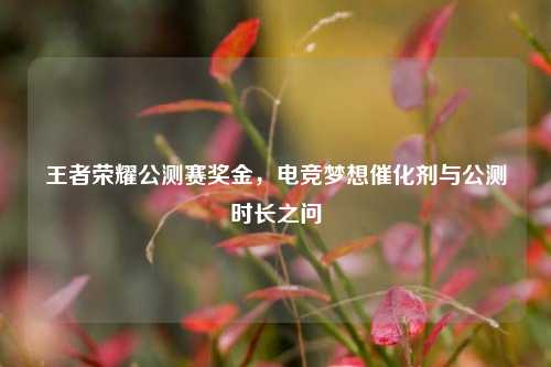 王者荣耀公测赛奖金,电竞梦想催化剂与公测时长之问