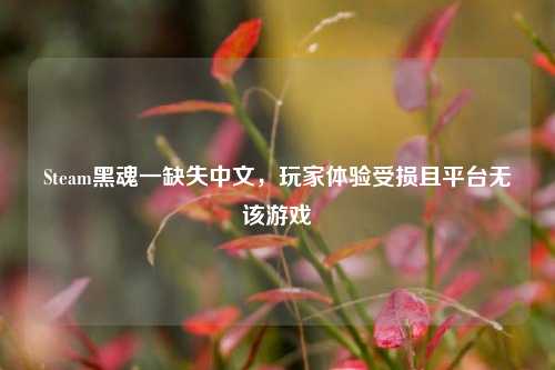 Steam黑魂一缺失中文，玩家体验受损且平台无该游戏
