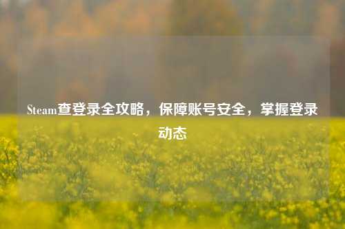 Steam查登录全攻略,保障账号安全,掌握登录动态