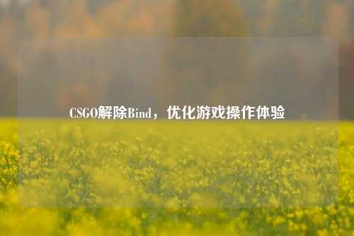 CSGO解除Bind,优化游戏操作体验