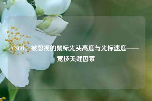 CSGO,被忽视的鼠标光头高度与光标速度——竞技关键因素