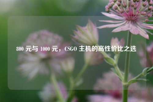 800 元与 1000 元，CSGO 主机的高性价比之选