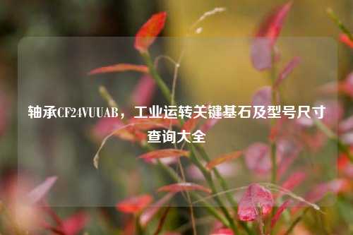 轴承CF24VUUAB,工业运转关键基石及型号尺寸查询大全