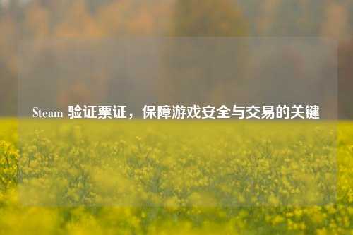 Steam 验证票证，保障游戏安全与交易的关键
