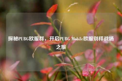 探秘PUBG欧服群，开启PUBG Mobile欧服别样战场之旅