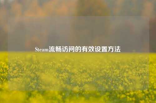 Steam流畅访问的有效设置方法
