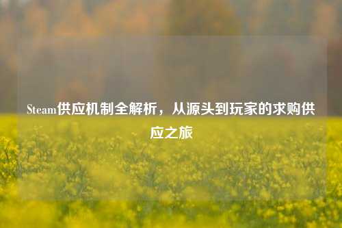 Steam供应机制全解析，从源头到玩家的求购供应之旅