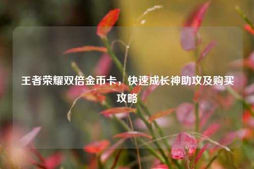 王者荣耀双倍金币卡,快速成长神助攻及购买攻略