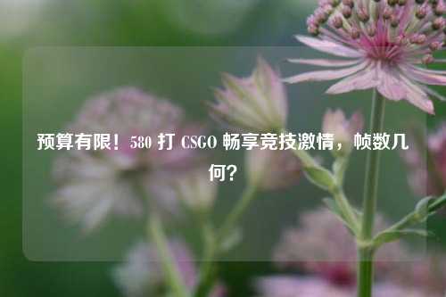预算有限!580 打 CSGO 畅享竞技激情,帧数几何?