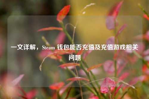 一文详解,Steam 钱包能否充值及充值游戏相关问题
