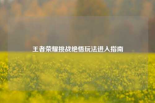 王者荣耀挑战绝悟玩法进入指南