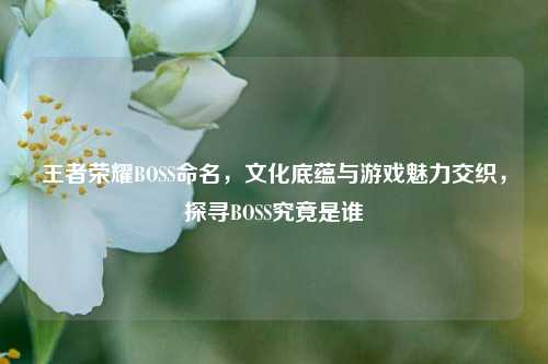 王者荣耀BOSS命名,文化底蕴与游戏魅力交织,探寻BOSS究竟是谁