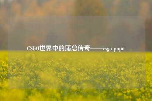 CSGO世界中的蒲总传奇——csgo pupu