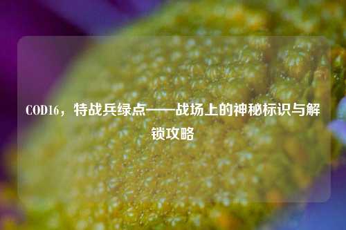 COD16,特战兵绿点——战场上的神秘标识与解锁攻略