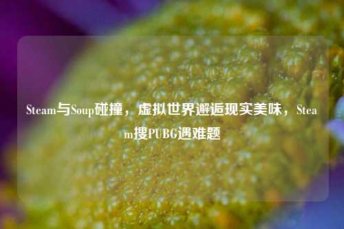 Steam与Soup碰撞,虚拟世界邂逅现实美味,Steam搜PUBG遇难题