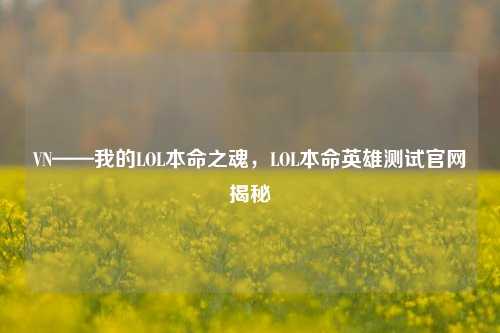 VN——我的LOL本命之魂,LOL本命英雄测试官网揭秘