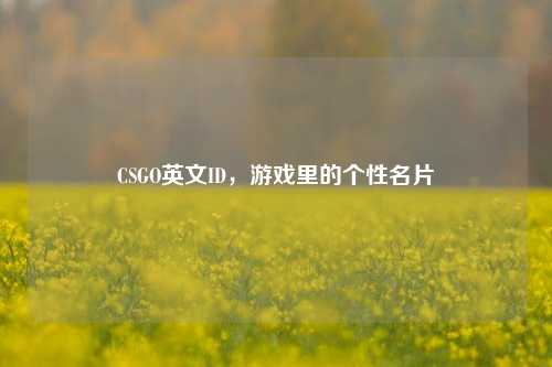 CSGO英文ID，游戏里的个性名片