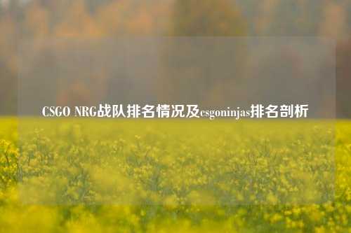 CSGO NRG战队排名情况及csgoninjas排名剖析