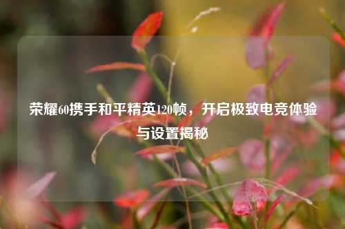 荣耀60携手和平精英120帧,开启极致电竞体验与设置揭秘