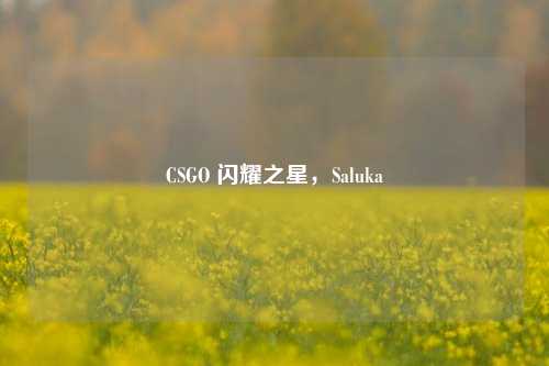 CSGO 闪耀之星，Saluka