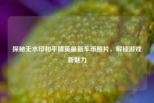 探秘无水印和平精英最新车币照片,解锁游戏新魅力
