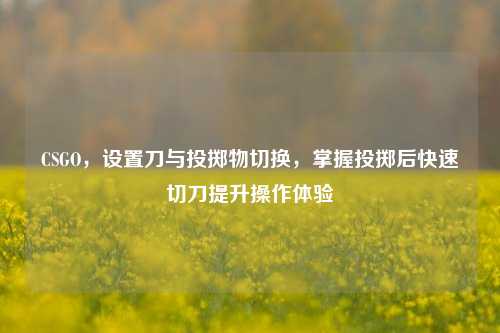 CSGO,设置刀与投掷物切换,掌握投掷后快速切刀提升操作体验