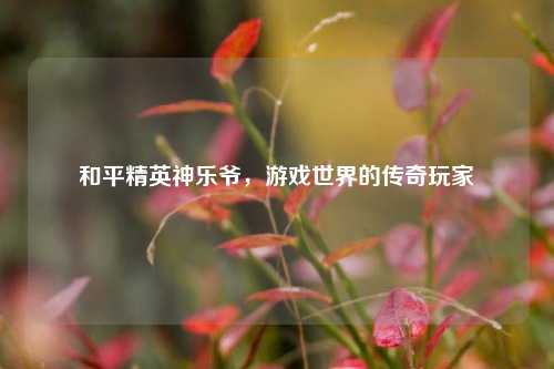 和平精英神乐爷,游戏世界的传奇玩家